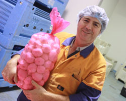 An employee bagging our wholesale pre-cut potatoes in Brisbane